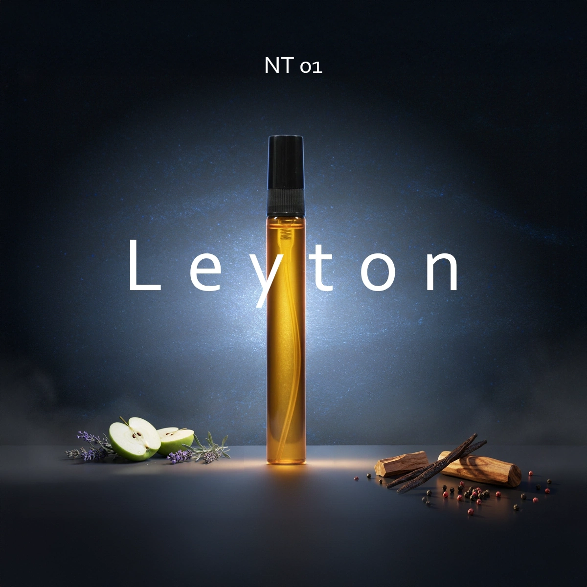 NT 01 Layton
