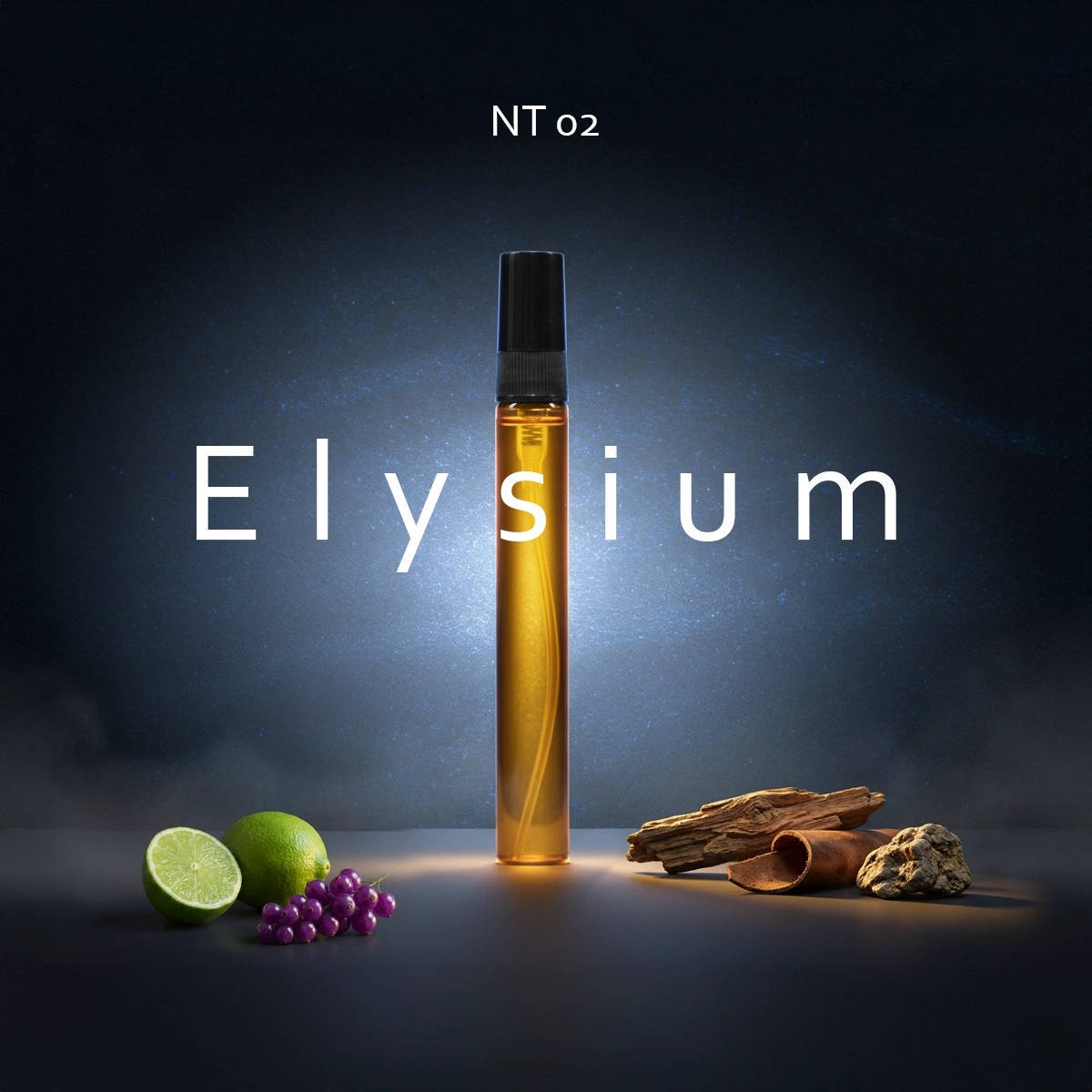 NT 02 Elysium